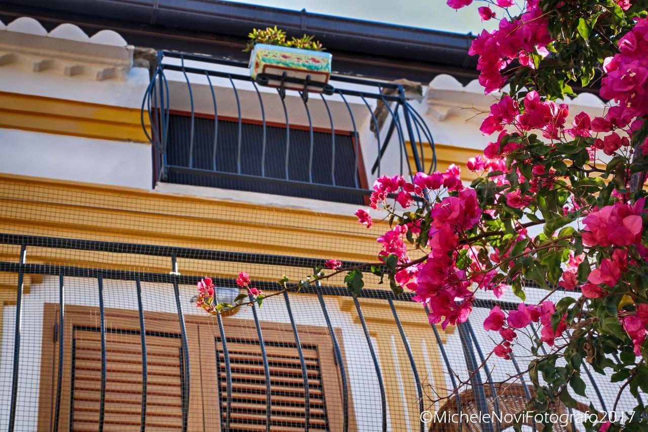 La Casa Di Ivana San Nicola Arcella Luaran gambar